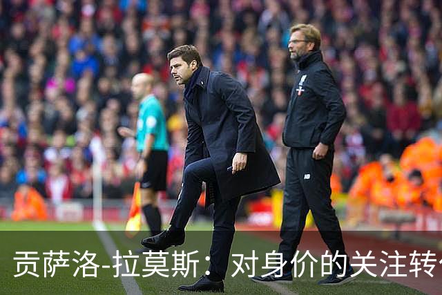 贡萨洛-拉莫斯：对身价的关注转化为我前进的动力
